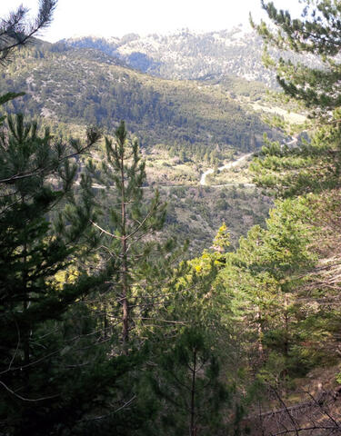 Διαδρομή Σπάρτης - Καλαμάτας μέσω Ταΰγετου