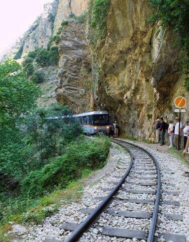 Οδοντωτός Σιδηρόδρομος Διακοπτού-Καλαβρύτων