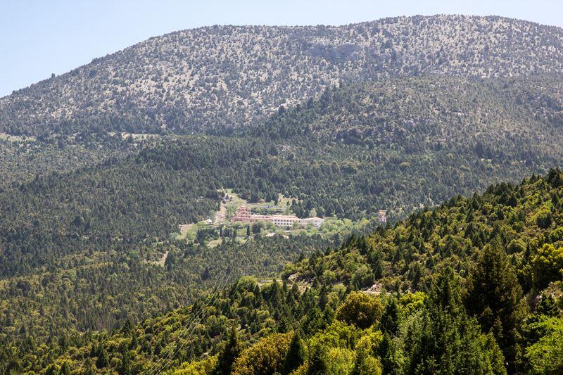 Δάσος δενδρόκεδρου Μαλεβής