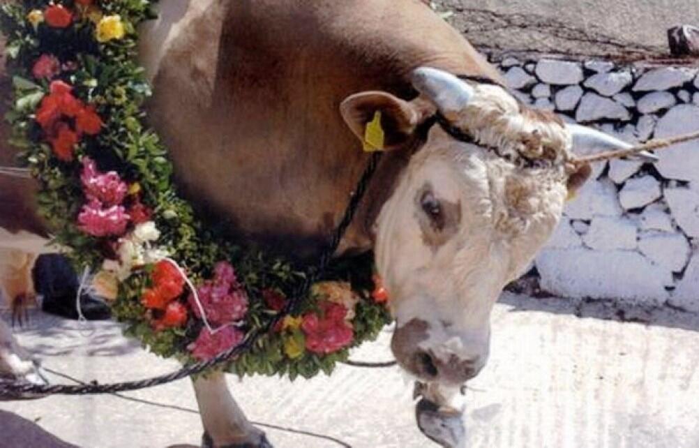 Πανηγύρια της Λέσβου